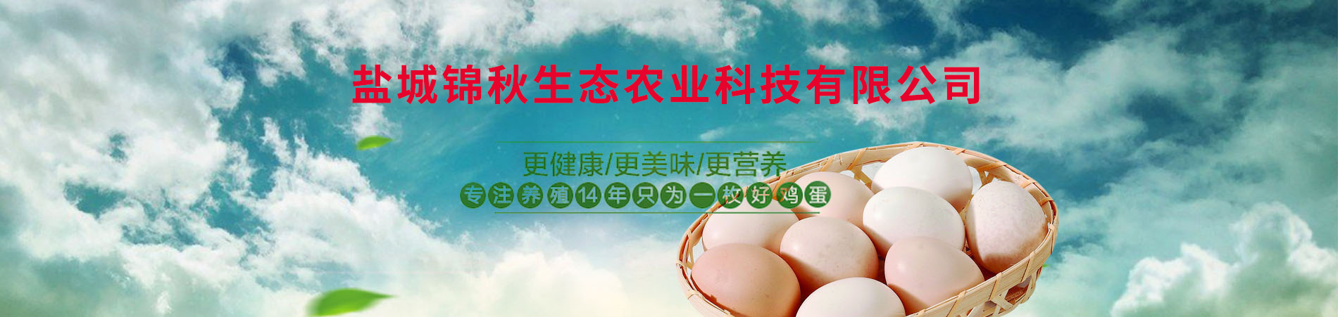 草雞蛋批發